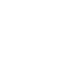 phone-icon